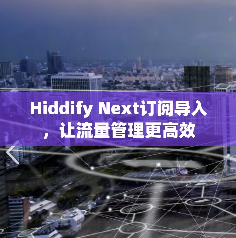 Hiddify Next订阅导入，让流量管理更高效