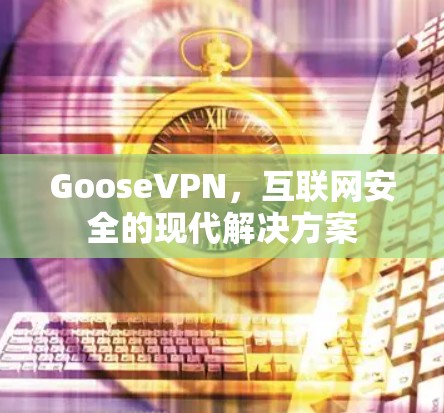 GooseVPN，互联网安全的现代解决方案