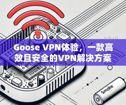 Goose VPN体验，一款高效且安全的VPN解决方案