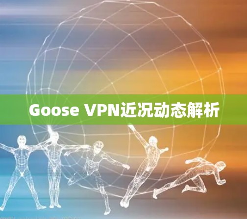 Goose VPN近况动态解析