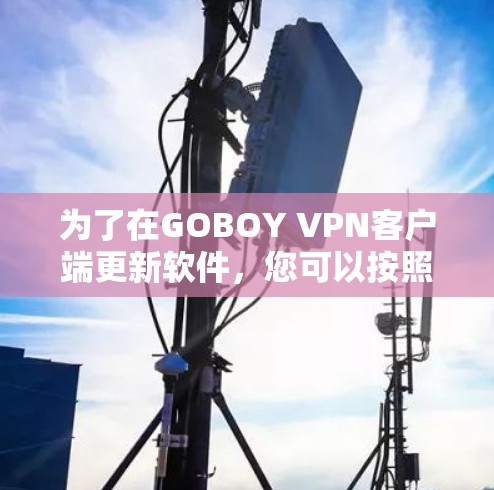 为了在GOBOY VPN客户端更新软件，您可以按照以下步骤操作