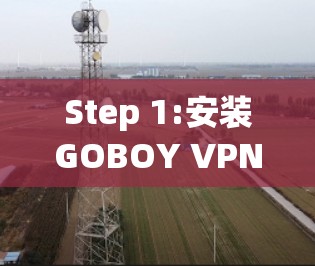 Step 1:安装GOBOY VPN
