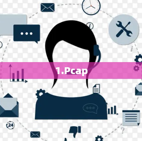 1.Pcap