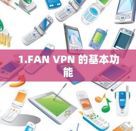 1.FAN VPN 的基本功能