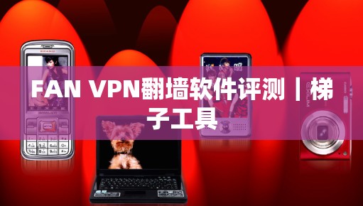 FAN VPN<strong>翻墙</strong>软件评测｜梯子工具