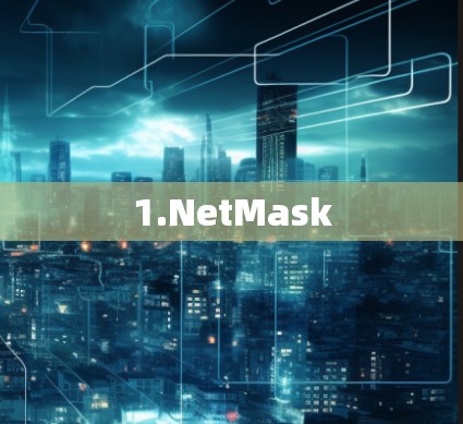 1.NetMask