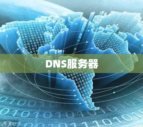 DNS服务器